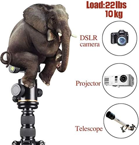 DSTE 63 '' Aluminum DSLR Camera Camera Tripod Monopod комплет со 360 ° панорама топка глава, компактна лесна тежина, превртете ја централната