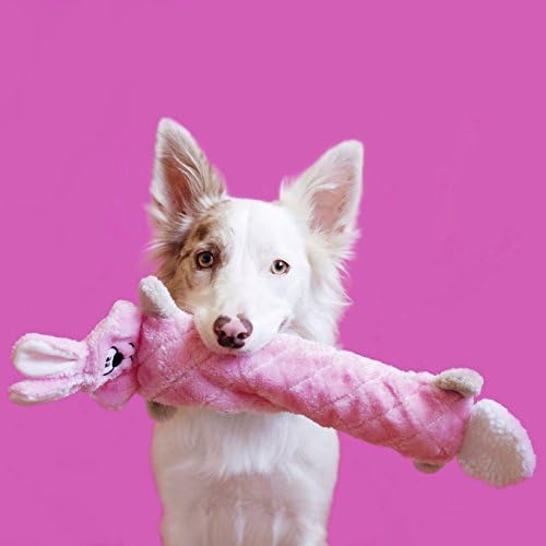 Zippypaws Jigglerz - Zippy Paws Dog играчка за големи и мали кучиња, пискава играчка со кадифен влечење без полнење, пискави интерактивни