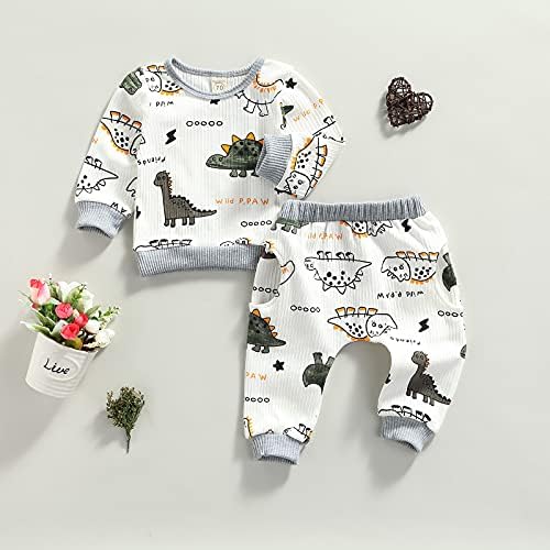 Ledy Champswiin 2 парчиња зимско новородено момче облека за новороденчиња за печатење на диносаурус за печатење со ребрести долги