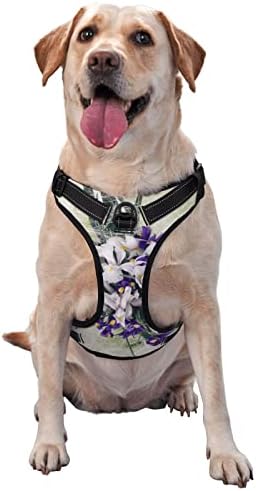 Куче Темперамент Виолетова Бела Ирис Цвеќиња Миленичиња Прилагодливи Надворешен Елек Прицврстува Х-Голем