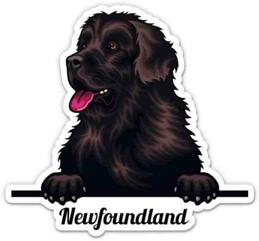 Налепница за кучиња Newуфаундленд - налепница за лаптоп 3 - водоотпорен винил за автомобил, телефон, шише со вода - Decуфаундленд