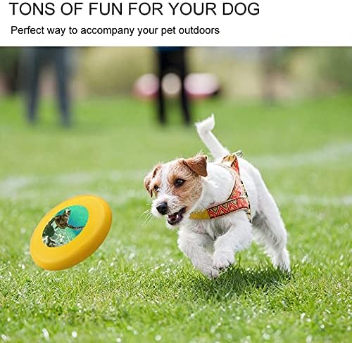 FunnyStar 10.39 Тркалезна Куче Е Летечки Диск За Обука Куче Каснувања Отпорни Играчки