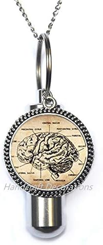 HandcraftDecorations Anatomical Brain Cremation Urn ѓердан, човечка мозочна анатомија урн, невролог подарок кремирање ѓердан,