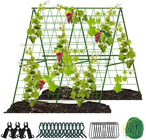48 ”x ​​48” преклопни краставици Трелис сет, градинарски рамка од а-рамка за искачување на растенија на отворено, одвојување на краставици за