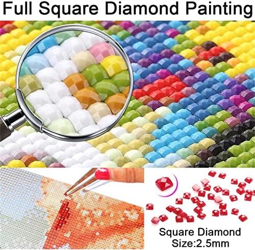 Дијамантски комплети за сликање за возрасни/деца 5D DIY дијамантска уметност боја со квадратна дијамантска уметност разнобојно масло за сликање