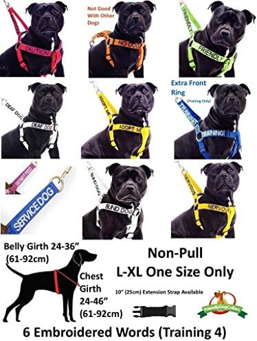 Услуга куче сино куче бандана Квалитет персонализирана извезена порака за вратот моден додаток на вратот ги спречува несреќи со