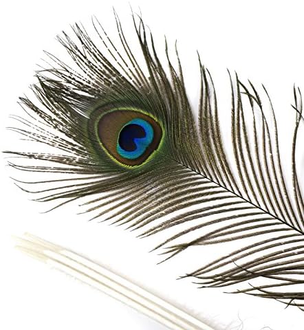 Природни Пердуви За Очи Од Паун-40-45 100 парчиња Занаетчиско Снабдување САМ Свадбен Декор