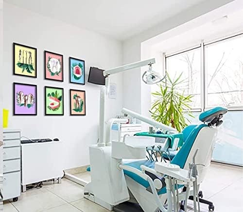 Заби анатомија Медицинска wallидна уметност отпечатоци декор на стоматолошка wallид, стоматолошка клиника wallидна уметност, канцеларија за хирург