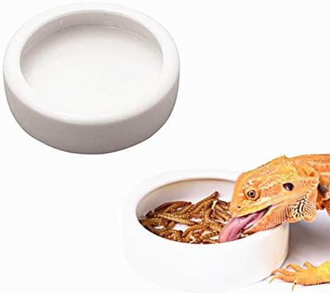 2 парчиња садови за чинија со чинија со црви, чинија за чинија со црви, мини рептил храна керамика вода чинија за гуштер аноли брада