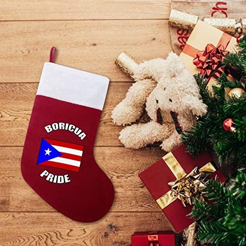 Гроздобер Борикуа гордост Порто Рикан ПР знаме Персонализирано Божиќно порибување Божиќ Камило семејство виси украси