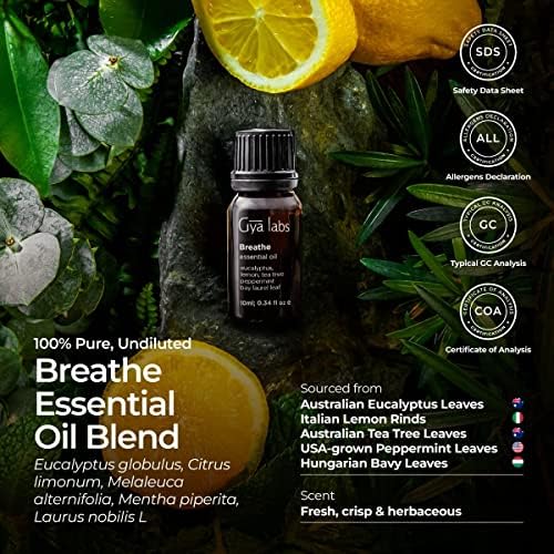 Gya Labs Disher Essential Mail мешавини - терапевтско одделение дишење лесни есенцијални масла од еукалиптус, масло од пеперминт