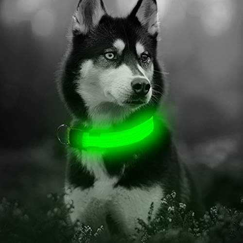 Илуфун LED јака за кучиња, USB -јака за дополнување на кучиња, рефлексивна светкава безбедносна јака, направете ги вашите кучиња