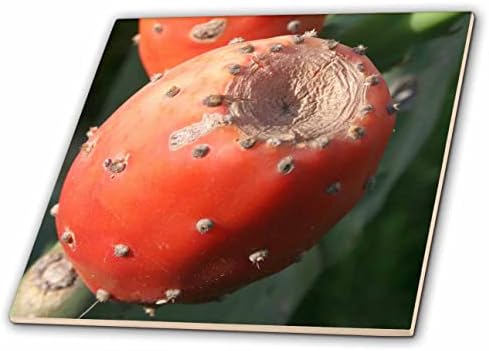 3дроза Бодликава Круша Овошје Од Кактус-Индиска Смоква Одблизу-Плочки