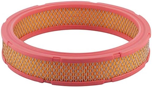 PG Filter Air Filter PA90 | Fits 1979-70 Ford F-100, 1979-75 F-150, 1979-70 F-250, F-350, 1986-79 Mustang, 1980-74 Pinto, 1979-78 Fairmont,