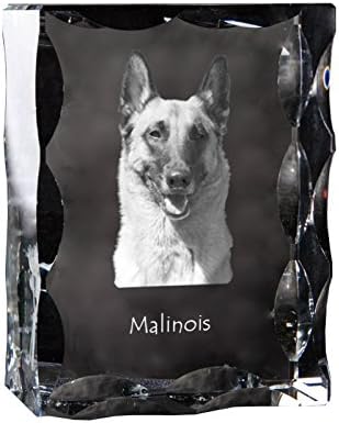 Арт Дог Рибар Малиноис, кубен кристал со куче, сувенир, декорација, ограничено издание, колекција