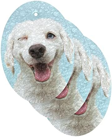 Алаза кучиња кутре печати намигнување природен сунѓер кујнски целулоза сунѓери за садови миење на бања и чистење на домаќинства, не-крик и еко
