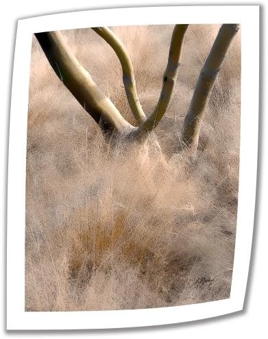 Уметнички wallидни пустини треви 24 од 18-инчи неотпакувано платно уметност од Линда Паркер со 2-инчен акцент граница