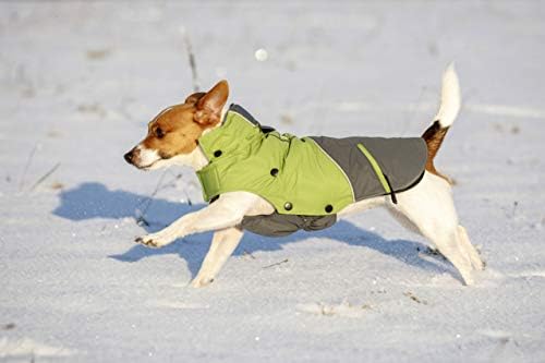 Кербл отворено кучиња палто Ванкувер, 30 см, зелена/сива боја