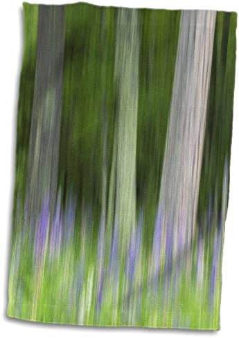3drose Апстрактна уметничка замаглување на дрвја и цвеќиња на лупин. САД, Висконсин. - крпи