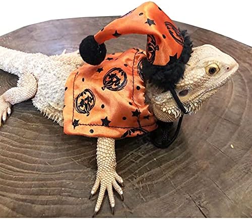 Облека за гуштер за брада змеј - капа за Ноќта на вештерките и наметка поставени прилагодливи костуми за Ноќта на вештерките Божиќни подароци миленичиња