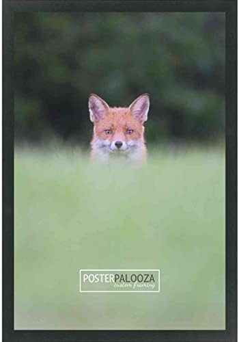 Постер Палооза 9x14 Современа рамка за слика на црно дрво - УВ акрилик, поддршка од табла за пена и вклучен хардвер за виси!