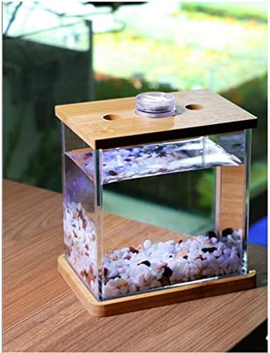 Hanxiaoyishop риба сад личност креативно стакло риба резервоар аквариум дневна соба мода работна површина мали мини аквариум риба чинии