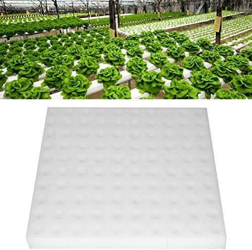100 парчиња хидропоничен сунѓер за садење сунѓер за градинарство, квадратни расадници сунѓери за стаклена градина