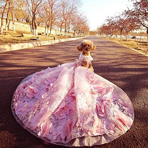 UXZDX Cujux Миленичиња Куче Фустан Принцеза Заостанува Венчаница За Мали Кучиња Рачно Изработени Цвеќиња Вез Чипка Кутре Облека Здолниште