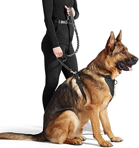 Jespet Hands Free Dog Leash за трчање, одење, пешачење за џогирање за средни и големи кучиња до 150 bs, траен поводник на половината