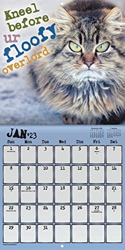 Snarcatstic Calendar 2023 - Делукс 2023 пакет на календар на wallидови со мачки со над 100 налепници за календари