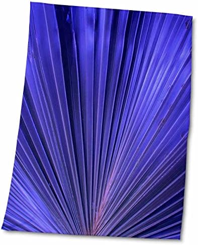 3дроза Фиренца-Апстрактни Растенија-Слика На Убави Пурпурни Дланка Вентилатор-Крпи