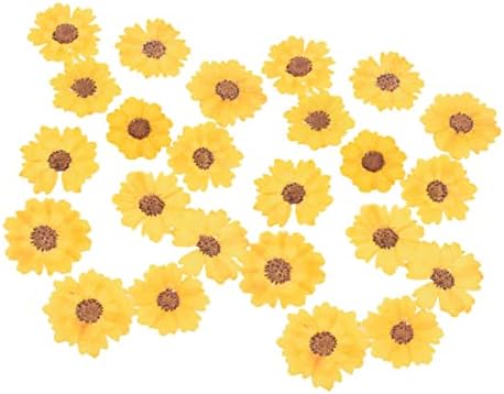 Coheali 24 парчиња притиснати уметнички занаетчиски цветни суви декорации Цветни цвеќиња правејќи вистински накит Сончоглед додатоци