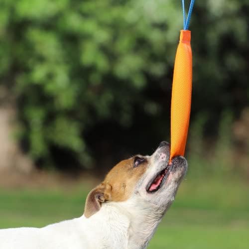 К9 Куче залак играчка со силна рачка - изработена од издржливо и отпорно на солза огнено црево - совршено за тренингот за војната, тренинг