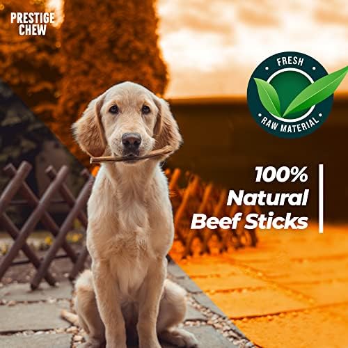 Престиж Џвакајте 6 Пакет 6 Инчи Силеџија Стапчиња - Природен Говедско Месо Стап За Кучиња, Долготрајни Вкусна Стоматолошки Третира, Џвакање
