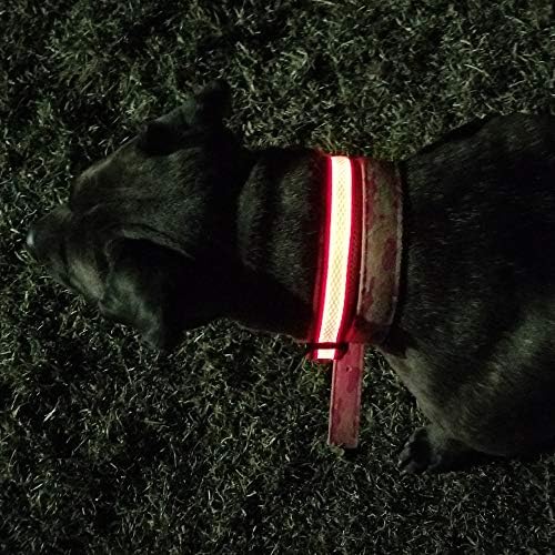 Диво милениче LED трепкачки рефлексивни прилагодливи безбедносни јаки за домашни миленици, мала црвена боја