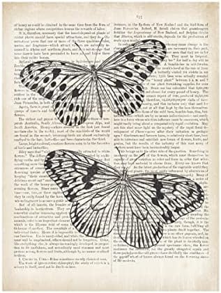 Трговска марка ликовна уметност „Гроздобер пеперутки на весници“ платно уметност од портфолио на диво јаболко