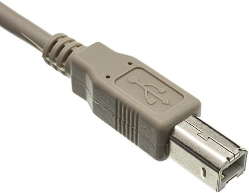 Кабел на големо 3 стапки USB 2.0 Печатач/Кабел За Уред, Беж, Тип Машки/Тип Б Машки Приклучок, МАШКИ ДО Б Машки USB Кабел СО Голема