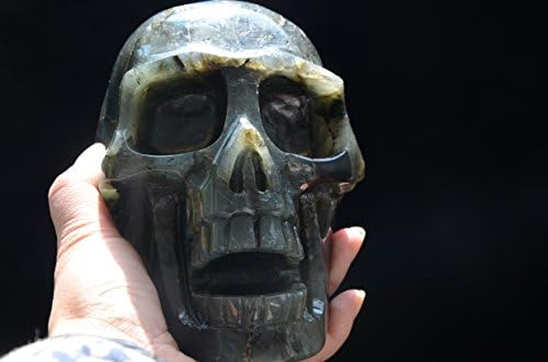 Гигантски сина лабрадорит кристал кварц пеење скелет за череп реалистична резба 6.06 инчи 5,36 фунти духовно лекување на енергија