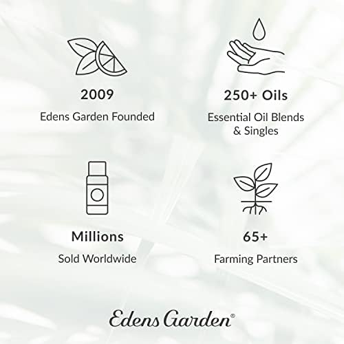Еденс Градина Топ синергија мешавина од есенцијално масло 6 сет, најдобар чист комплет за стартување на ароматерапија, 10 ml