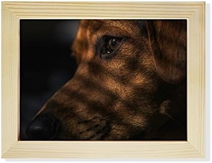 DiyThinker Dog Pet Animal Animalental Pimention Photo Photo Frame Photion Smage Art Decoration Sainting 6x8 инчи