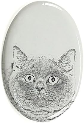 Уметност Куче Оод. Британска Кратка Коса, Овална Надгробна Плочка Од керамичка Плочка со Слика на мачка