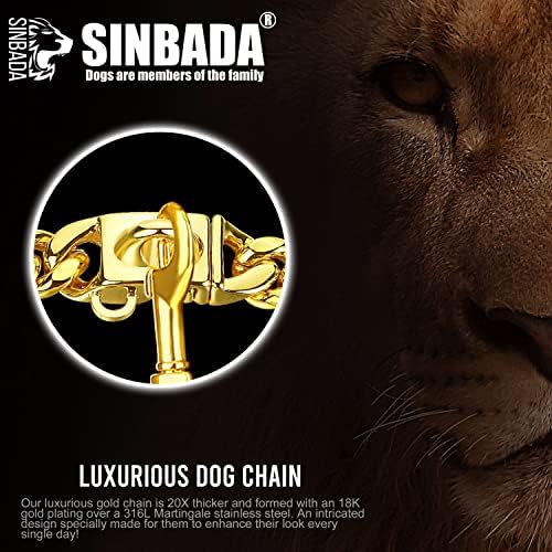 Јака од синџир на кучиња Sinbada со дизајн на лавов и брзо ослободување Безбедно прилепување 18K златен не'рѓосувачки челик 12мм врски ланец јака тешка метална јака за ку