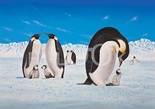 Здраво Изглед Микрофибер Чистење Крпа-Пингвин Семејство