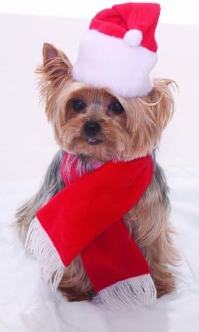 Новини на форумот, Дедо Мраз и костум за миленичиња од шал - мала големина, разнобојно