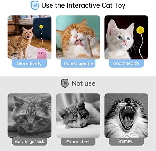 Автоматска играчка со топка за мачки во затворен простор, движење за движење активирана интерактивна симулација ротирачки тајминг