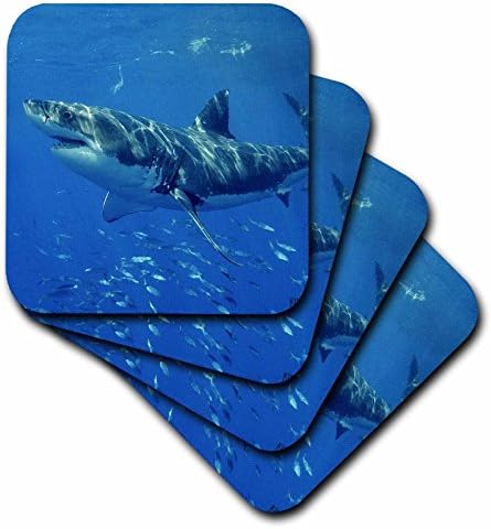 3дроза Голема Бела Ајкула - Подлоги За Керамички Плочки, Комплет од 4