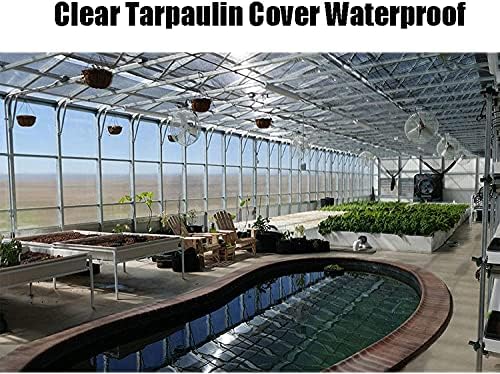 Транспарентен Тарп водоотпорен 4x1m, чиста тарпаулин покрива водоотпорен, тешки поли -тарпа тарпаулин, повеќенаменски заштитен капак,