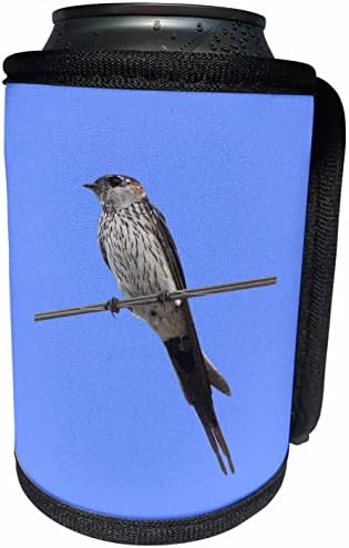 3дроза Птица На Жица Црвено-Задебелена Ластовичка Векторска Уметност - Може Поладна Обвивка За Шишиња