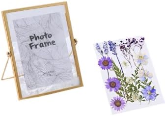 Стаклена фото рамка, притиснато цвеќе, рамки за двојно стакло, штанд за влечење, метални рамки за слики со 18 DIY сушени цвеќиња, вертикална