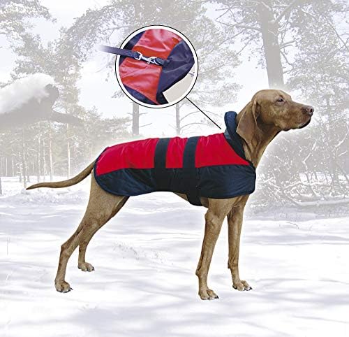 Карли кучиња палто мраз мечка, 50 см, црвена боја